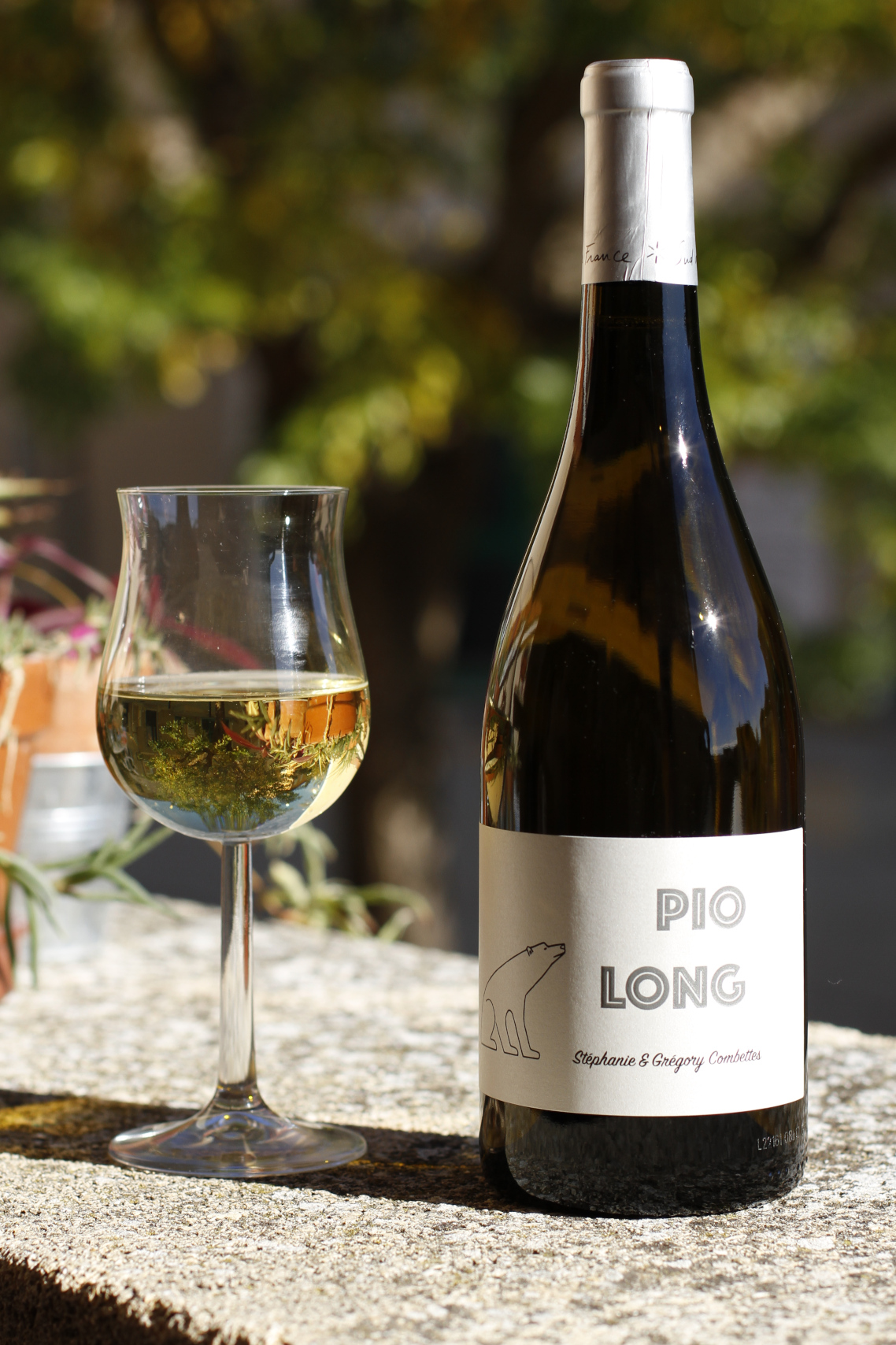 pio-long-blanc-2