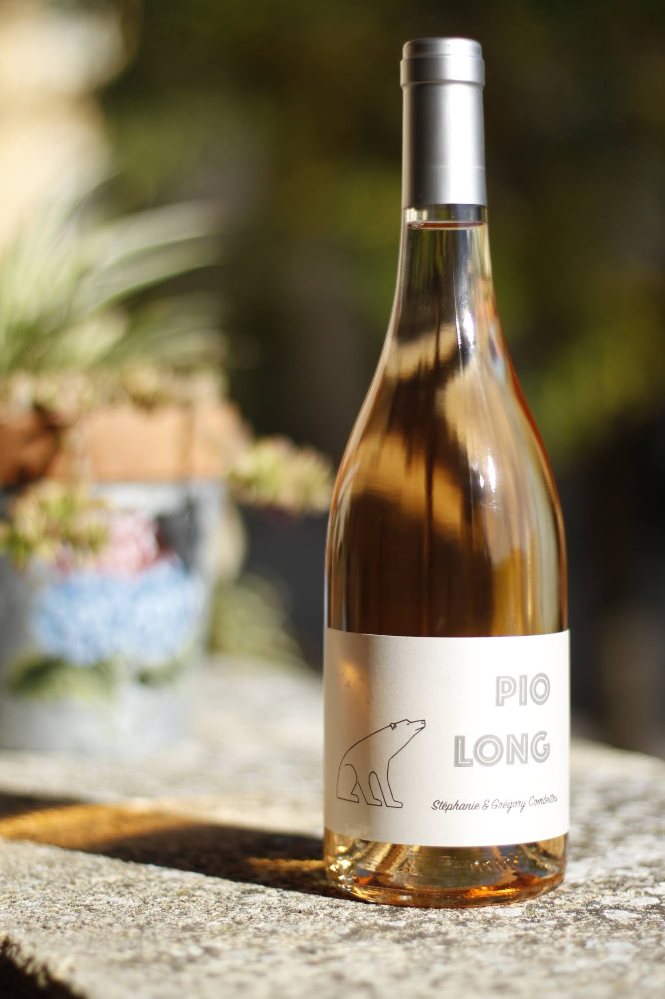 pio-long-rose